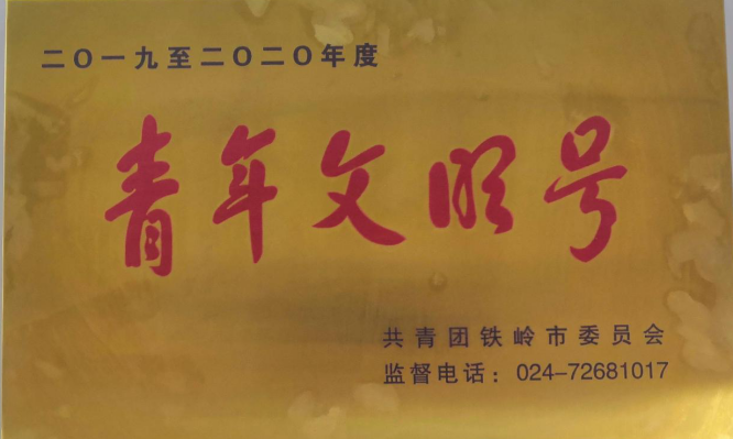 辽宁工程职业学院世界技能大赛教师团队开展“擦亮青年文明号,争做铁岭营商环境最美风